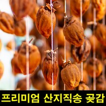 고씨네 프리미엄 곶감1.5kg 반건시곶감 곶감말이 곶감, 단품