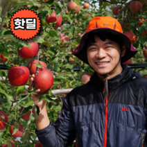 고당도 감홍 홍로 흠집 못난이 제철 사과 햇부사 5kg 10kg, 10kg 중 (29-37과내외), 1개
