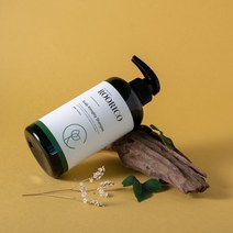 루리코 지루성두피샴푸 지성두피 비듬케어 약산성 저자극 샴푸, 1개, 500ml