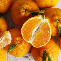 제주 서귀포 명품 한라봉 3kg 고당도 할라봉 구례로컬푸드 명절과일선물용 제주도 한라향, 한라봉(3kg)