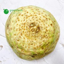 샐러리악 1개(약1kg)