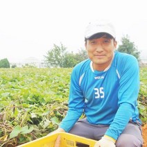 무안특산물 자색색양파즙 120포
