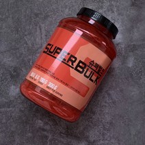 슈퍼벌크 게이너보충제 살찌는 체중증가 헬스보충제(2개세트)(무료배송), 1개, 쉐이커선택