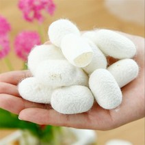 20 개 대 천연 누에 고치 스킨 케어 엑스 폴리 에이 팅 뷰티 페이셜 페이스 블랙 헤드 클렌저 실크 스크럽 Dropshipping