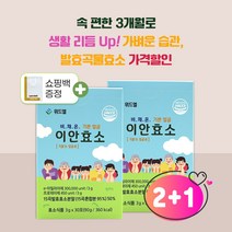 속편한 발효곡물 소화효소 이안효소 (3g * 30포) x 3Box (3개월), 3g, 3개