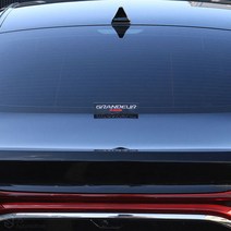 [JS AUTOMOTIVE] 더뉴그랜저 / 그랜저IG 도어 사이드 라벨 자동차 동호회 스티커 필러몰딩 인테리어 악세사리 용품, 성공_1P