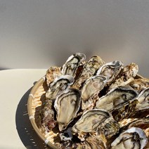 구 진평물산 / 산지직송 통영석화, 15kg