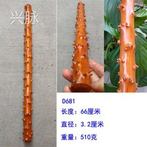 나무막대기 레몬나무 도트 악세사리 완상 우드 가지고 놀다 몽둥이글 노는 목 수완가 기프트 4308441418, 스카이 블루.