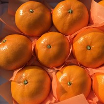 제주 프리미엄 고당도 레드향 3kg 선물용, 프리미엄 레드향 3kg (10-14수) 중대과, 1개