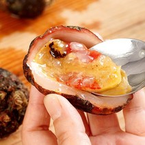 통영 돌멍게 1kg 4-7미x4, 4개