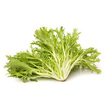 프리세 200g 벨기에 푸른잎이 많아요, 1개