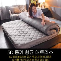 접이식 매트리스 라텍스 메모리폼 다다미 침실 가정용, 에어그레이5