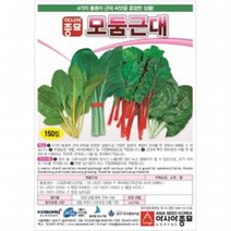 (아시아종묘/근대모둠씨앗종자) 모둠근대(150립)