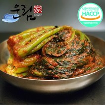 운림가 전라남도 전통 국내산 맛있는 갓김치 1kg 2kg 3kg 5kg 10kg, 갓김치 5kg