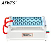 산업용에어컨 ATWFS 최신 휴대용 오존 발생기 220 볼트 5 그램/시간 물 소독 처리 공기 청정기, 한개옵션0