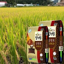 만세보령 삼광미 골드 2022년 보령농협, 10kg