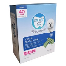 코스트코 원데이케어 덴탈껌 건강한 관절 치석 케어 40개 * 15g/ 강아지 치약 개 애견 입냄새 제거 스케일링 아나브러쉬