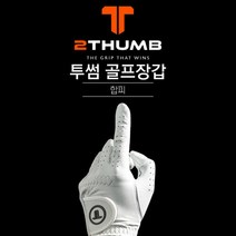 브랜드없음 [에이앤와이] 투썸 NEW PURESKIN X 남성 합피장갑 왼손 (2P), 23, 선택완료