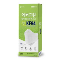 에버그린 황사방역 마스크 대형 KF94, 25개입, 1개, WHITE