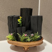 희망참숯농원 숯화분 하트미니, 1개