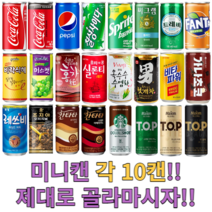 음료수 캔음료 각10캔 골라담기 /탄산음료/과채/과즙/착즙/업소용/소캔/미니캔/콜라, 선택6. 씨그램 플레인 190ml 10캔