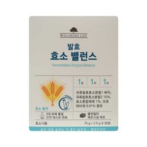 코리아나 웰빙 라이프 발효 효소 밸런스75g(2.5gx30포)