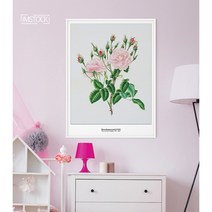 아이엠스톡 인테리어 액자 ﻿Rosa damascena3 장미 022 캔버스액자, 블랙원목