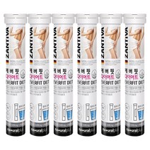 에버핏 다이어트 발포 가르시니아 20정, 6개