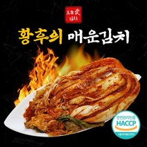 속이 꽉찬 종가집 어머님 손맛 매운 국산 배추김치 1kg 2kg 3kg 5kg 10kg 포기김치 겉절이 전라도김치 김장김치 보쌈김치 업소용김치 국산배추김치 남도김치 맛있는김치, 매운김치