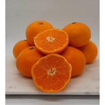 산지직송 푸리바당 제주 제철 노지 조생 선물 감귤 5kg, 푸리바당 제주 노지 감귤 5kg