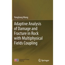Adaptive Analysis of Damage and Fracture in Rock with Multiphysical Fields Coupling Hardcover, Springer