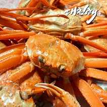 선주직송 영덕 홍게 산지직송, 일반형 3kg(수율70%이상)