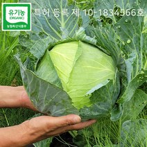 특허받은 유기농 친환경 양배추 3kg 5kg 10kg, 유기농양배추5kg, 1개