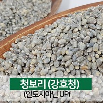 진도장모와서울큰사위 청보리 강호청보리 햅곡 [22년산 출시], 1개, 5kg