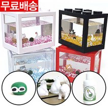 국산정품 블럭 어항 대크기 마리모 키우기, 투명블럭[핑크]