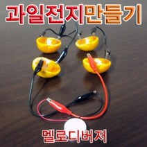 일음쇼핑^^*m향앤미과학 과일 전지 만들기 멜로디 버저 1인용 학습교구 실험 키트 교재 교육용일medi^*^, ab*^^선택없는