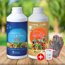 명전바이오 시스타액제 진시황 유기농 식물영양제, 진시황 500ml, 500ml