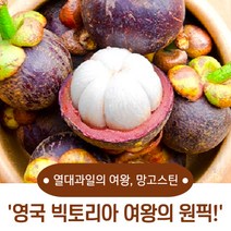 [힝공직수입] 열대 과일의 여왕 동남아 생 망고스틴 부드럽고 촉촉한 맛을 즐겨보세요. 태국 직접 수입 열대 망고 스틴의 신선하고 육즙이 가득한 당도 높은 과육 망고스틴, 망고스틴 2kg (500g*4망)