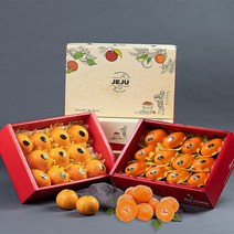 (롯데백화점)제주 레드향 선물세트2.5kg(12과내외)+천혜향 선물세트2.5kg(12과내외)