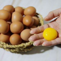 [갑봉이네]오늘 낳은 무항생제 신선한 친환경 계란 60구, 우포계란 중란 60구(30구x2판)