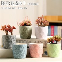 다육화분 다육이 심폴 화분 식물 미니 화분세트, 도자기, 옵션3