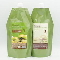 아초아 카라멜 트리트먼트 염색약 400g+400g, 5N자연갈색
