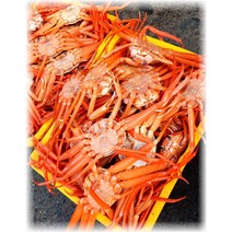 산지직송 대게 홍게 3kg(9~12마리) 수율80%이상 박달 연지 3kg 5kg 영덕 구룡포 자숙 울진