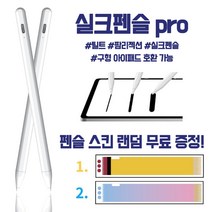 22년 최신 아이패드 펜슬 ( 구형 아이패드 호환 가능 ) 사은품 증정!, 실크펜슬 프로 화이트