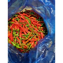 베트남 고추 100g /아시아 농장 송소희, 1개