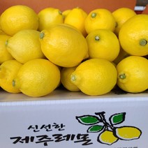 GAP 인증 국내산 청정 제주레몬 농장직송 3kg 5kg 10kg