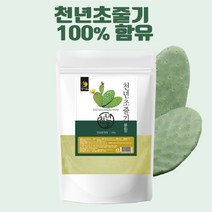 엄마애손 국내산 천년초 손바닥선인장 줄기 분말 가루 100% 500g