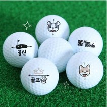 비거리 데일리 골프공 10구/6구 새상품 무지/캐릭터 연습용 커스텀 인쇄 소량주문제작, 무지골프공 10구