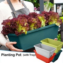 플랜트박스 블루베리 에어포트화분 대형고무화분 슬릿화분 상추키우기 야채 냄비 재배 상자 가족 발코니 야채 화분 나무 냄비 플라스틱 심기 야외 재배자, a