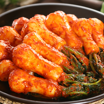 청와대 납품김치/ 오색소반 김치/경기연천 농협식품/ 포기6 9kg 깍두기 갓김치 총각김치 묵은지, 9 포기4kg+총각4kg